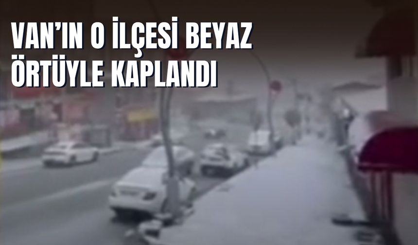 Van'ın Başkale İlçesi Beyaza Büründü