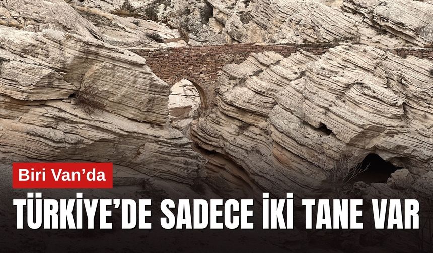 Türkiye’de Sadece İki Tane Var: Biri Van’da