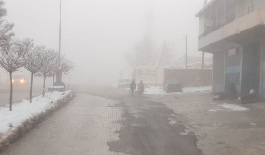 Başkale'de sis etkili oldu