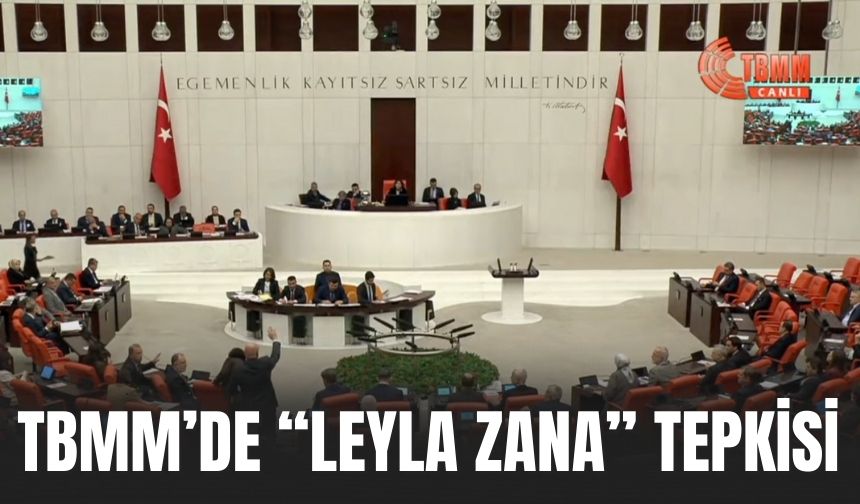 TBMM’de “Leyla Zana” Tepkisi