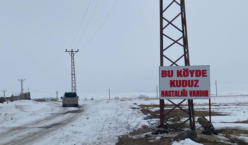 Kuduz Vakası: Köyde Karantina Başlatıldı