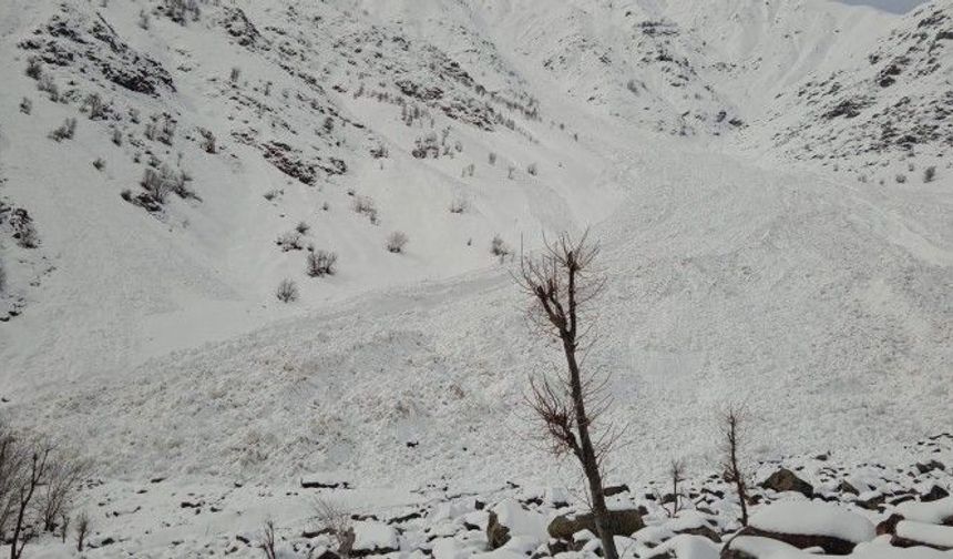 Hakkari’de 150 Keçi Telef Oldu!