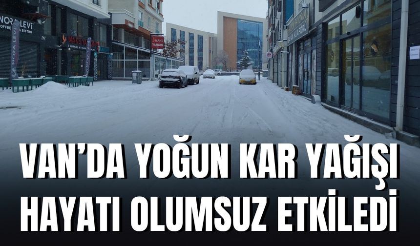 Van’da Yoğun Kar Yağışı Hayatı Olumsuz Etkiledi