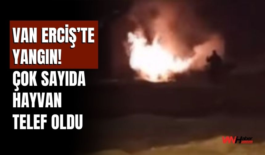 Van Erciş’te Yangın! Çok Sayıda Hayvan Telef Oldu