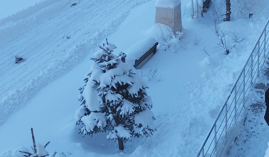 Erciş Beyaza Büründü!