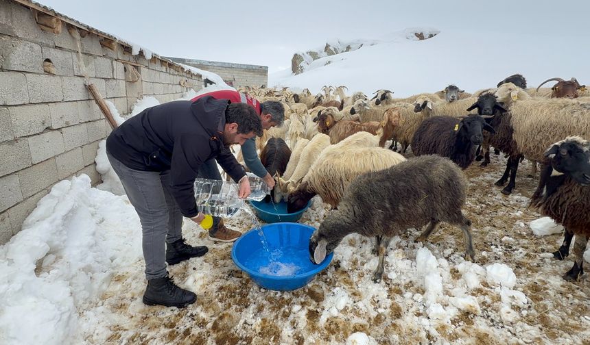 Van'da Donan Sulara Karşı Seferberlik!