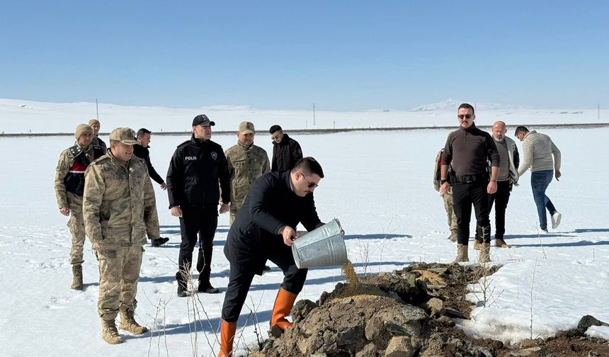 Özalp’te Yaban Hayvanları İçin Doğaya Yem Bırakıldı
