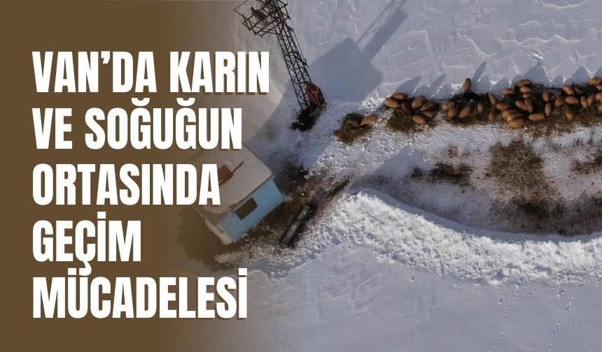 Van’da Karın ve Soğuğun Ortasında Geçim Mücadelesi