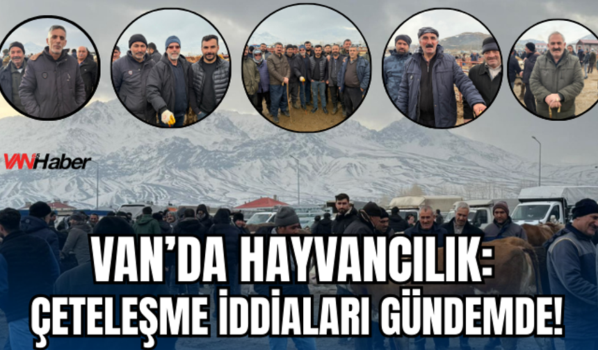 Van’da Hayvancılık: Küpe Karaborsaya Düştü