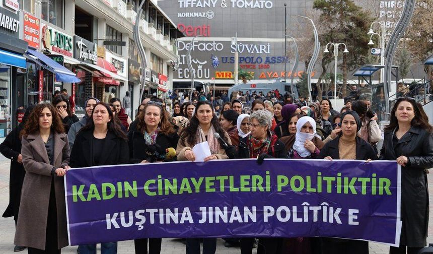 Van’dan Türkiye’ye Kadın Cinayetlerine Artık Dur Denilsin!