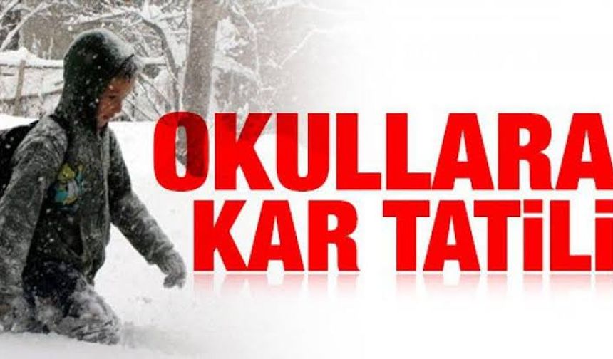 Van’ın Muradiye ilçesinde okullar tatil edildi! 9 Şubat 2026