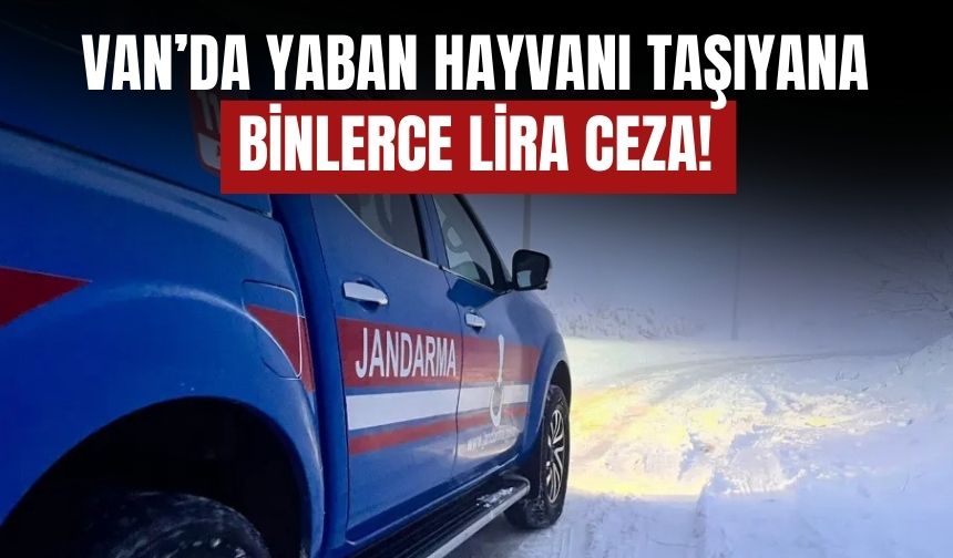 Van Erciş’te Kınalı Keklik Taşıyan Sürücüye 85 Bin TL Ceza