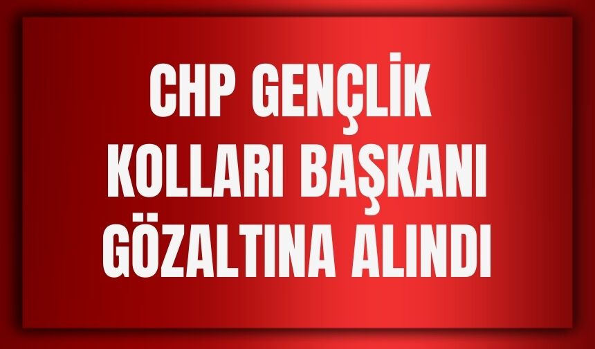 CHP Erzincan Gençlik Kolları Başkanı Gözaltına Alındı