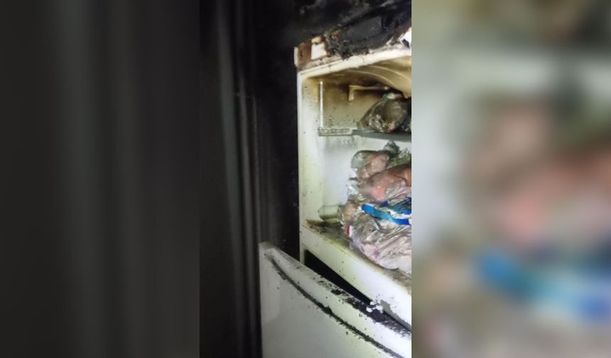 Van Edremit’te Ev Yangını Paniği