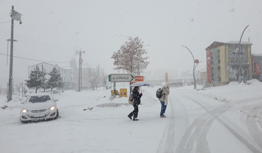 Van'ın Başkale ilçesinde yoğun kar yağışı