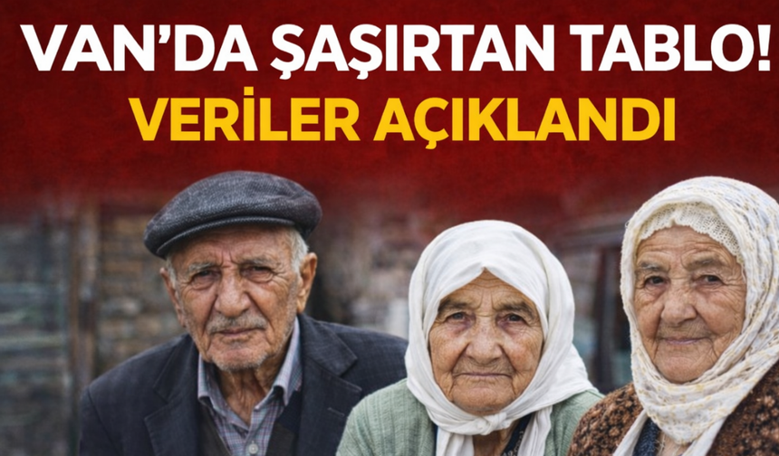 Van'ın "Asırlık Çınarları" Sayıldı! Listede Şaşırtan Detay!