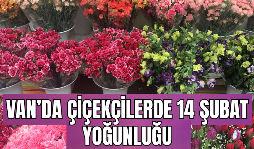 Van’da Sevgililer Günü Mesaisi: Çiçekçilerde Sipariş Patlaması!