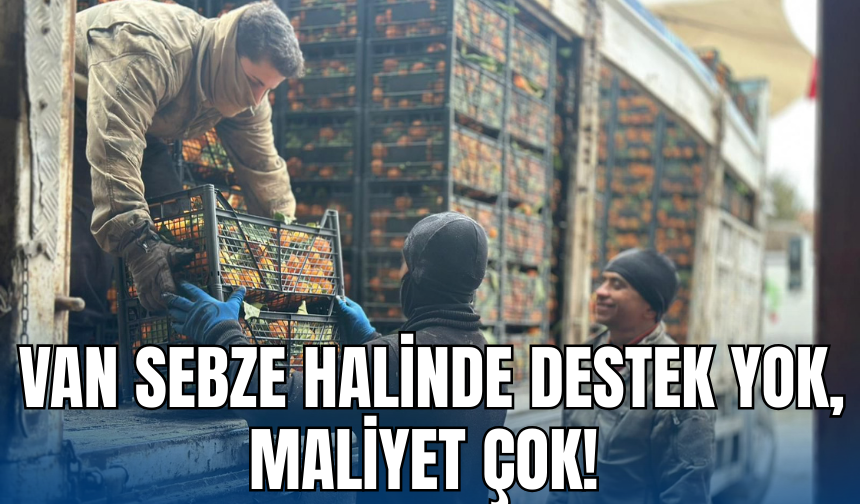 Van Sebze Hali: Sebze Pahalı Çünkü Herkes Zorda!