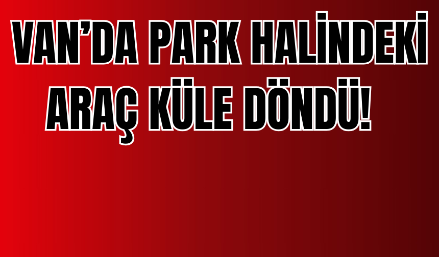 Erciş’te Hastane Otoparkında Korkutan Yangın!