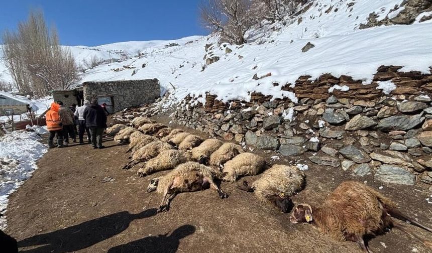 Van Başkale’de Ahır Yangını: 68 Hayvan Telef Oldu