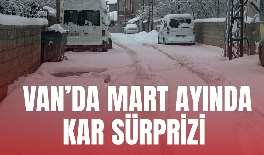 Van’da Mart Sürprizi: Bahar Beklenirken Kent Yeniden Beyaza Büründü