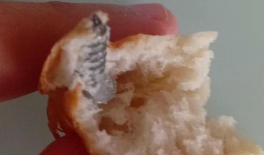 Ekmeğin İçinden Vida Çıktı