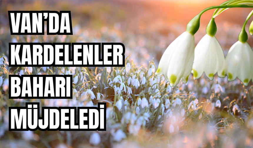 Van’da Kardelenler Baharı Müjdeledi