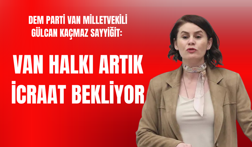 DEM Partili Sayyiğit: Van halkı artık icraat bekliyor!
