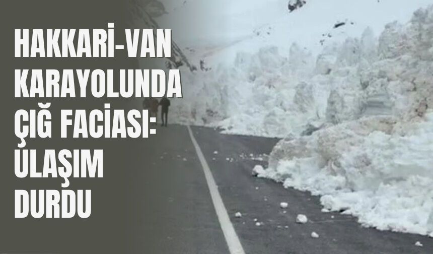 Hakkari-Van Karayolunda Çığ Faciası: Ulaşım Durdu