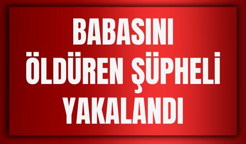 Babasını Öldüren Şüpheli Yakalandı