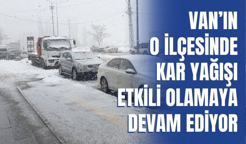 Van Başkale’de Kar Yağışı Etkili Oldu