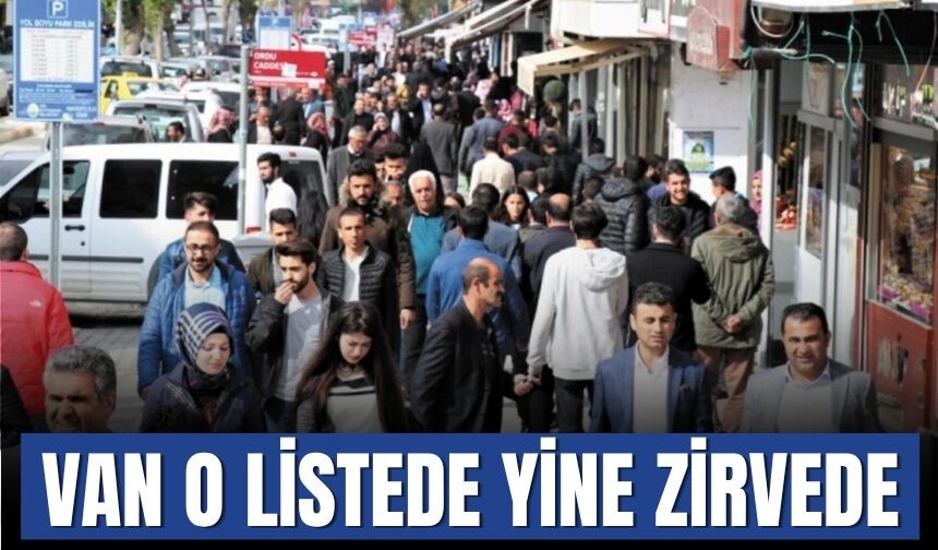 Van ve Hakkari İşsizlikte Türkiye Zirvesinde