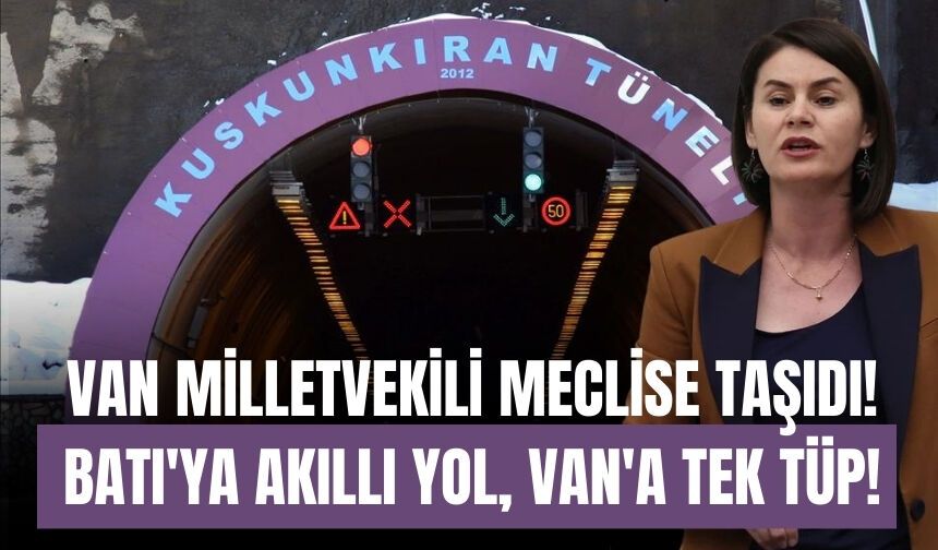 Van Milletvekili Meclise Taşıdı! Batı'ya Akıllı Yol, Van'a Tek Tüp!