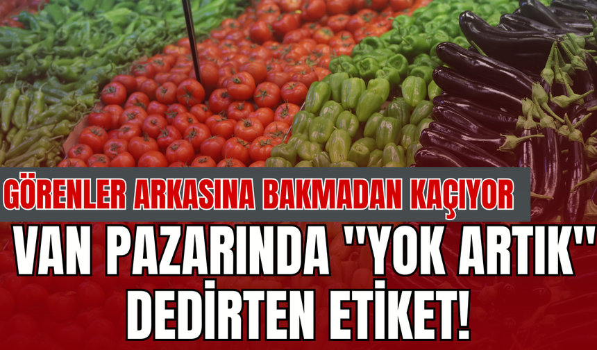 İran'daki Savaş Ateşi Van Sofrasını Yaktı! Patlıcanın Fiyatı Altınla Yarışıyor! İşte fiyatlar...