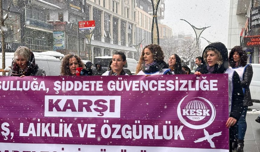 Vanlı Kadınlar Sokaklara İniyor: 8 Mart Eylem Planı Belli Oldu!