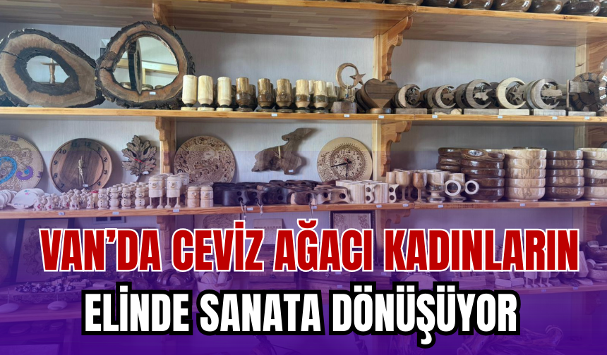 Van’da Kadınlar Cevizi Sanata İşliyor!