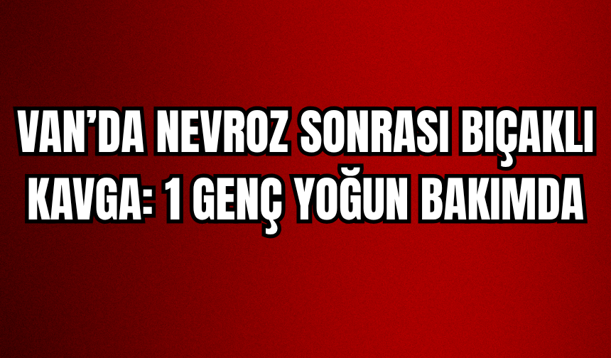 Van’da Nevroz Alanında Bıçaklı Kavga: 1 Genç Yoğun Bakımda