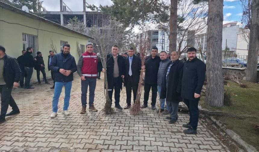 Van’da 50 Bin Meyve Fidanı Toprakla Buluşuyor