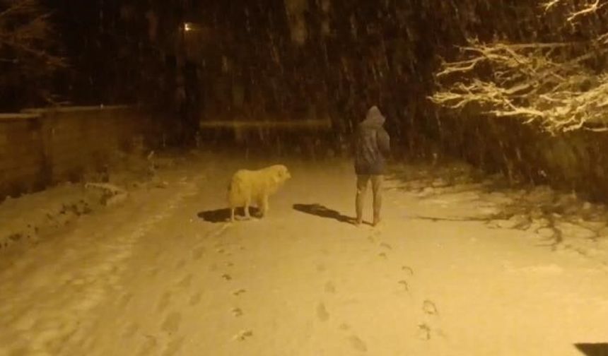 Van'da Kar Yağışı İlçeyi Beyaza Bürüdü!