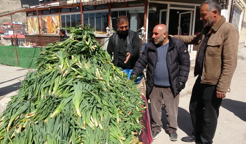 Van’da Çiriş Otuna Yoğun İlgi Var!