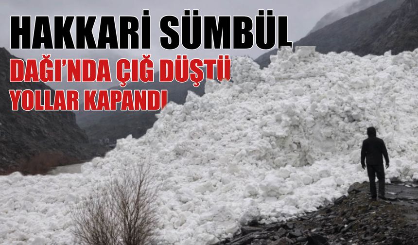 Hakkari Sümbül Dağı’nda Çığ Düştü