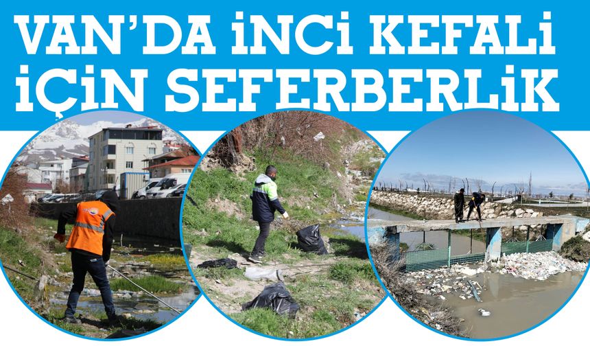 Van’da İnci Kefali İçin Seferberlik! Dere Yatakları Temizleniyor!
