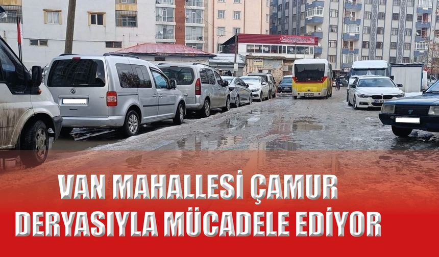 Van Mahallesi Çamur Deryasıyla Mücadele Ediyor!