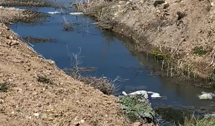 Gevaş Devlet Hastanesi’nde Büyük Risk!