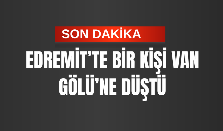 Son Dakika: Van Gölü’ne Düşen Şahıs  İçin Arama Çalışması Başlatıldı!