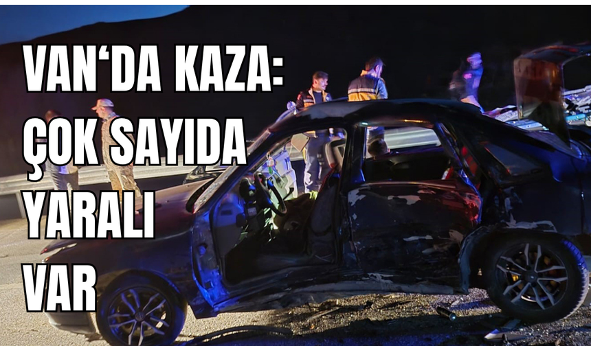 Van’da kaçak göçmenleri taşıyan otomobil kaza yaptı: 7 yaralı