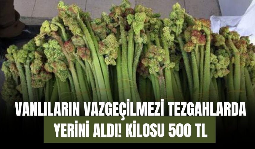 Vanlıların Vazgeçilmezi Tezgahlarda Yerini Aldı! Kilosu 500 TL