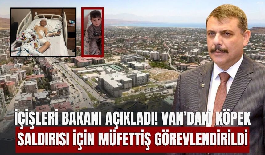 İçişleri Bakanı Açıkladı! Van’daki Köpek Saldırısı İçin Müfettiş Görevlendirildi