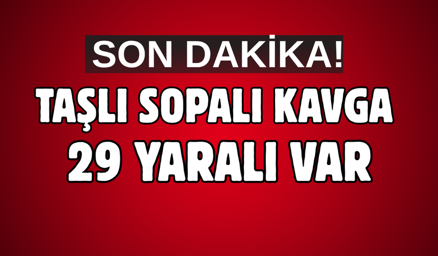 Arazi anlaşmazlığı taşlı sopalı kavgaya dönüştü: 29 yaralı var!