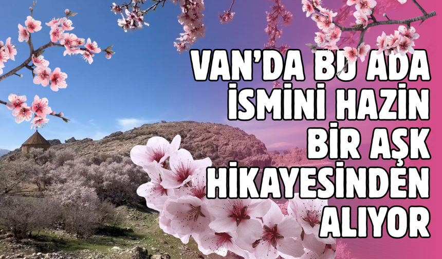 Van Gölü’nün incisi Akdamar,  pembe ve beyaz gelinliğini giydi!